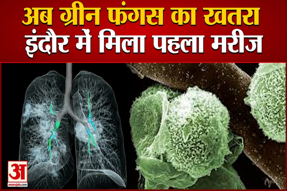 ग्रीन फंगस