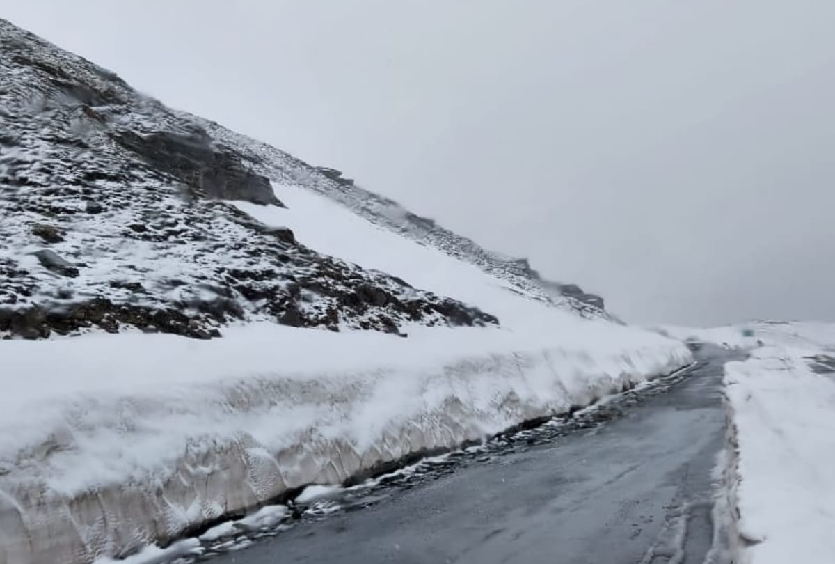 snowfall in rohtang pass rain in all districts of himachal pradesh