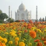 ताजमहल