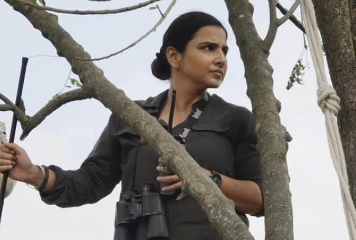 Sherni Review by Pankaj Shukla Vidya Balan Amazon Prime Video Amit Masurkar Abundantia T Series