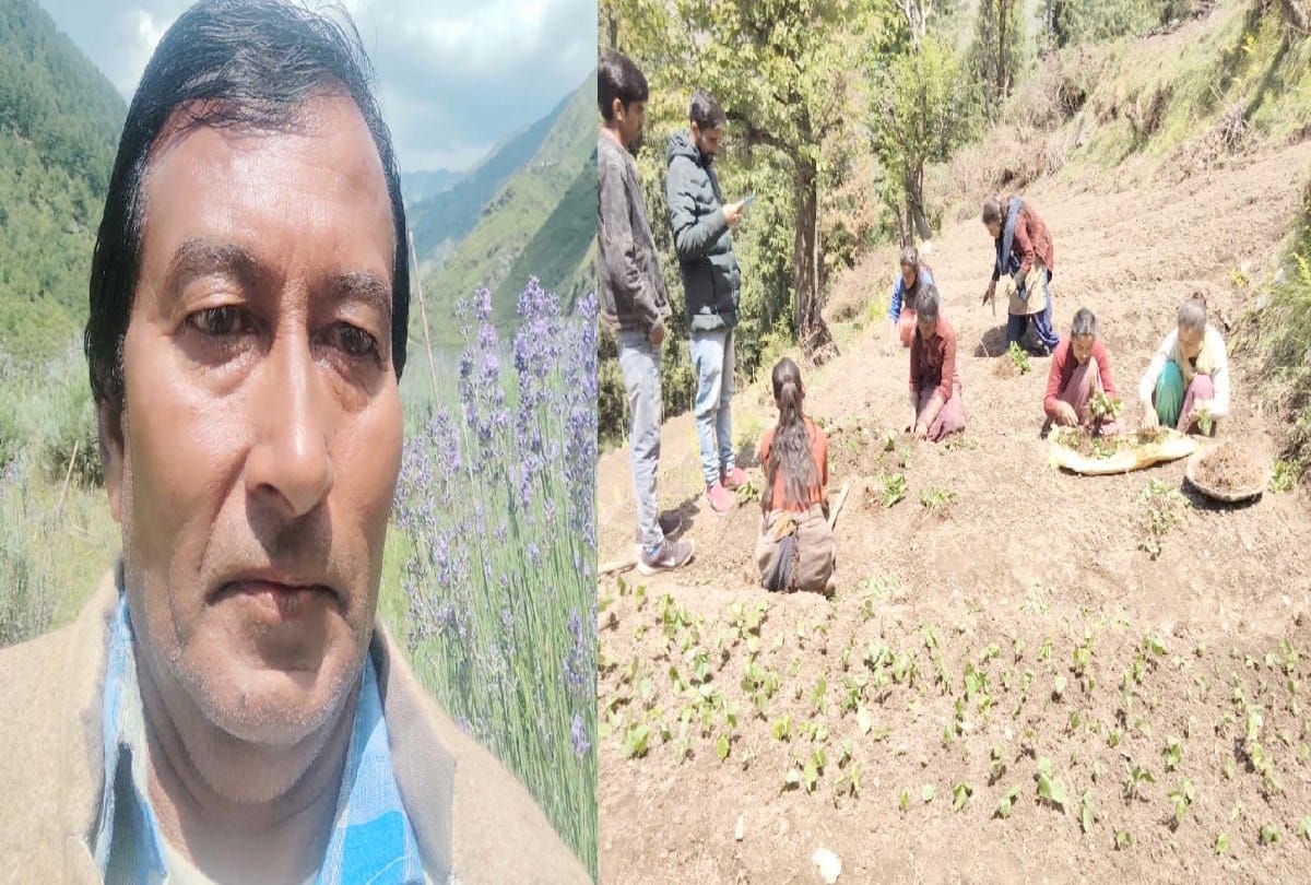 Lobhi Ram Started cultivation of medicinal plants leaving a job of Rs 1500, now giving employment to 150 people