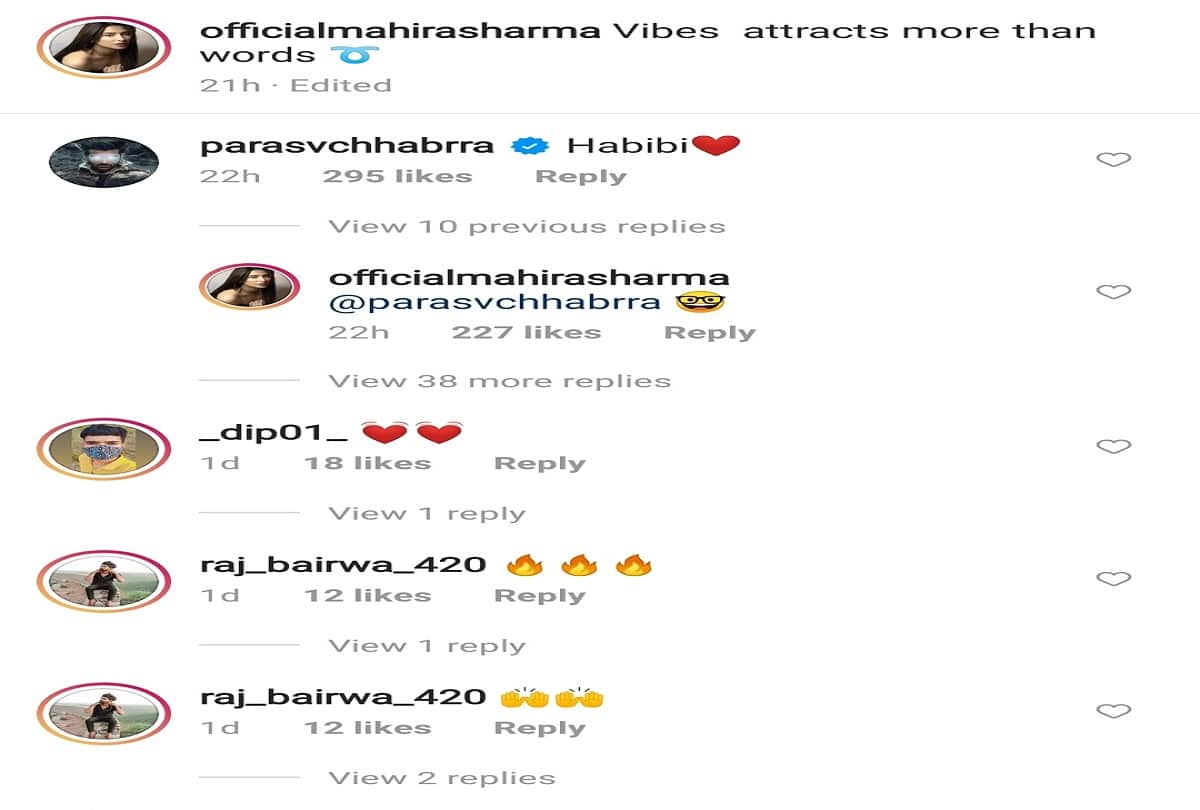 mahira sharma latest beautiful look paras commented on pic