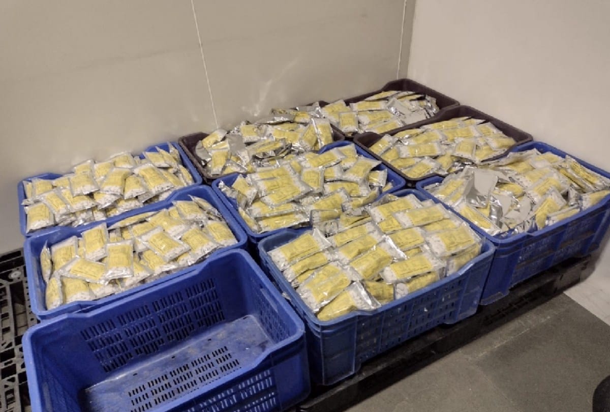 Pain medicine was being made without departmental approval, two and a half lakh tablets seized in jasoor kangra