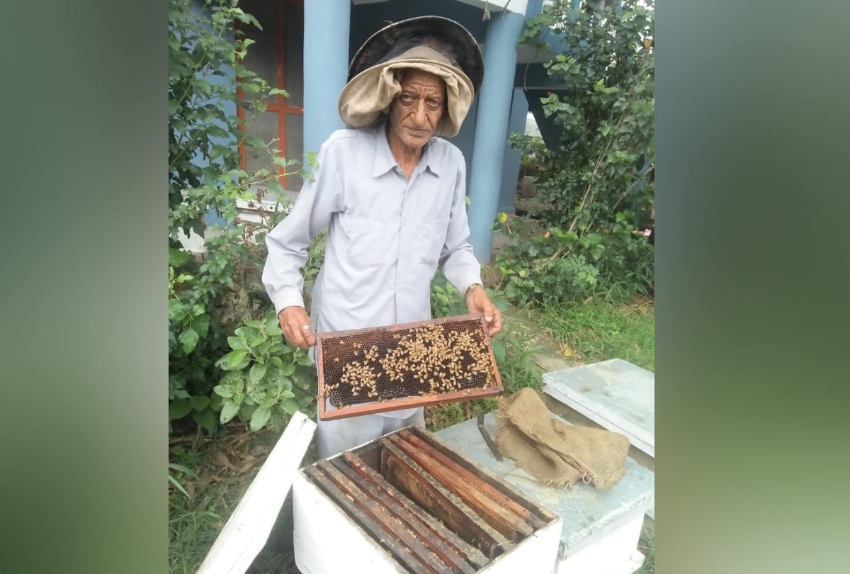 beekeeping business by farmer Gopal Kapoor in Hamirpur Himachal Pradesh