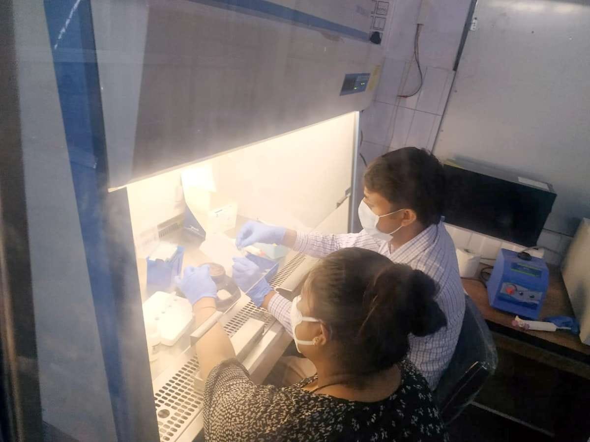 Dry run of 20 samples in RTPCR lab