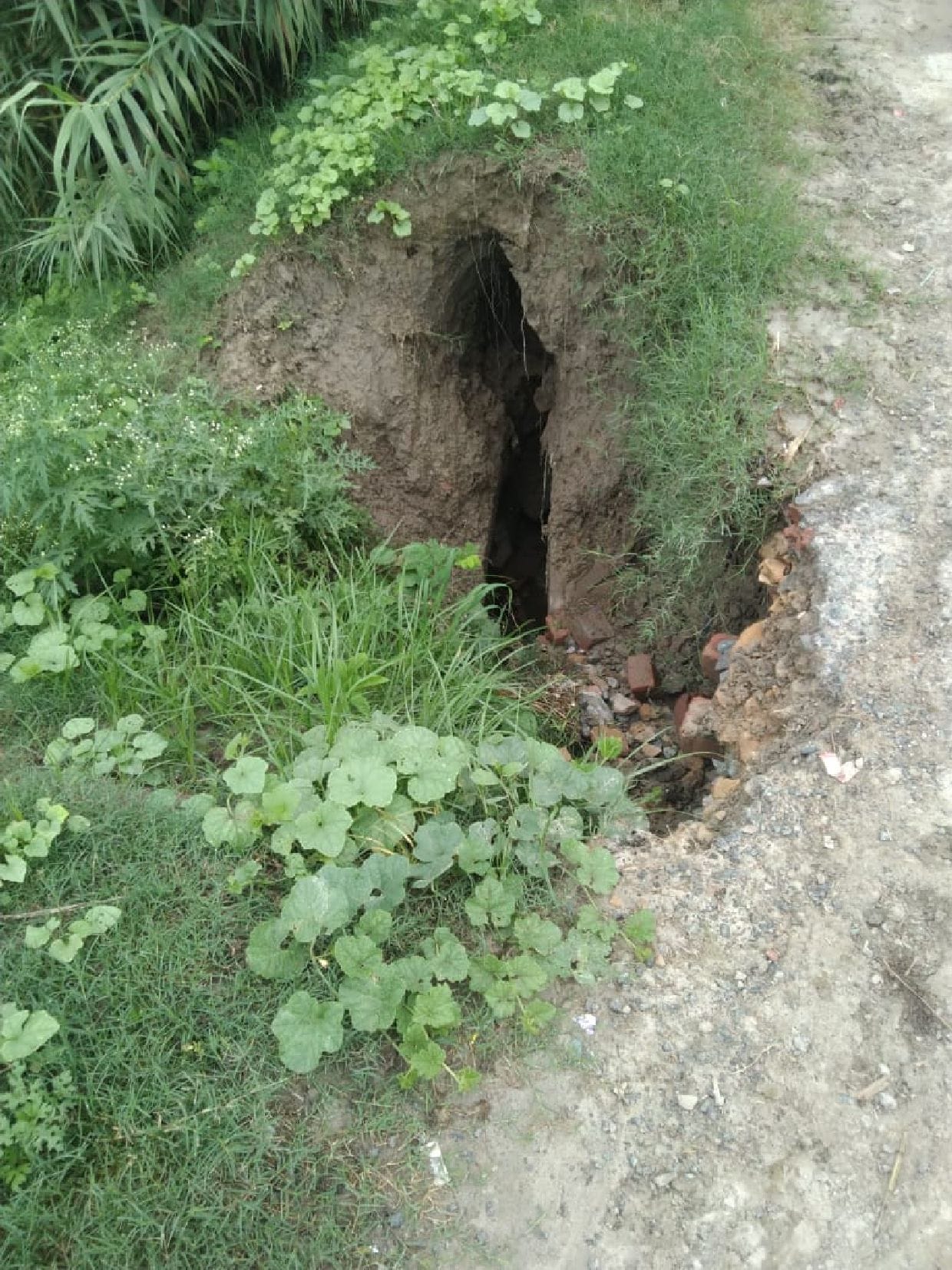 bahraich