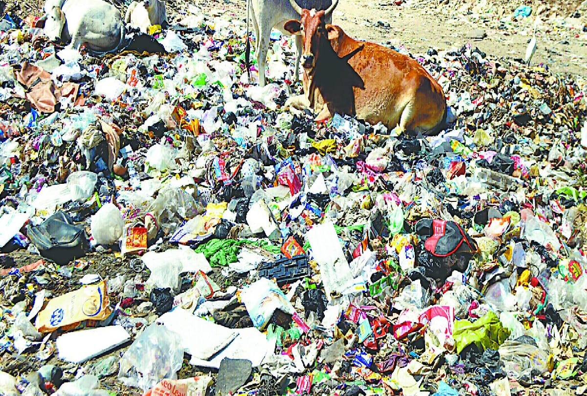 Garbage disposal problem solved in Gorakhpur city