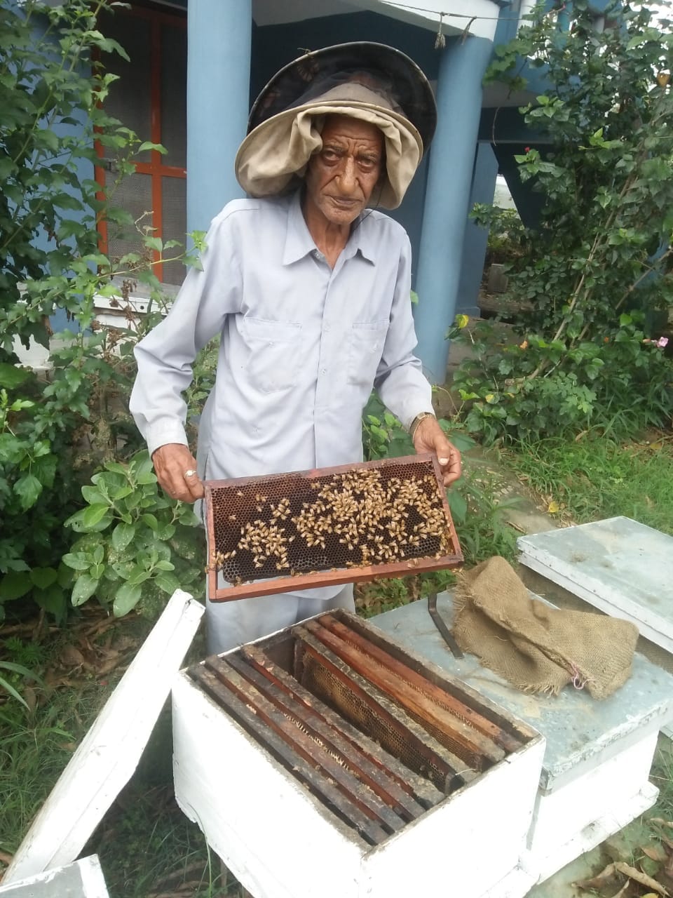 Beyond the age of 84, millions are earning from the business of honey, Gwalpathar's elder is doing beekeeping business for 29 years, Annual income of more than three lakhs, giving training to others, hamirpur news