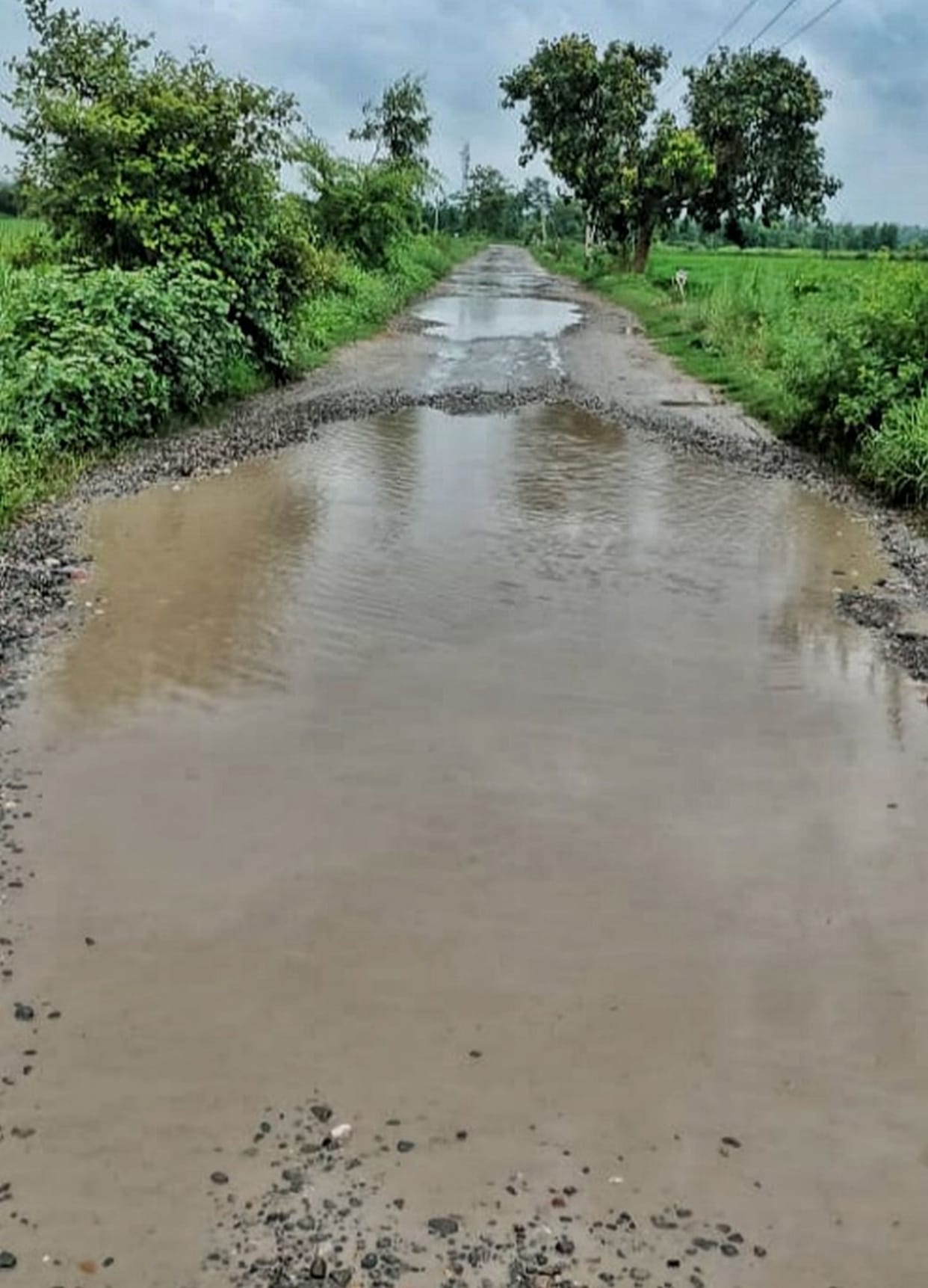 Pothholes In Road