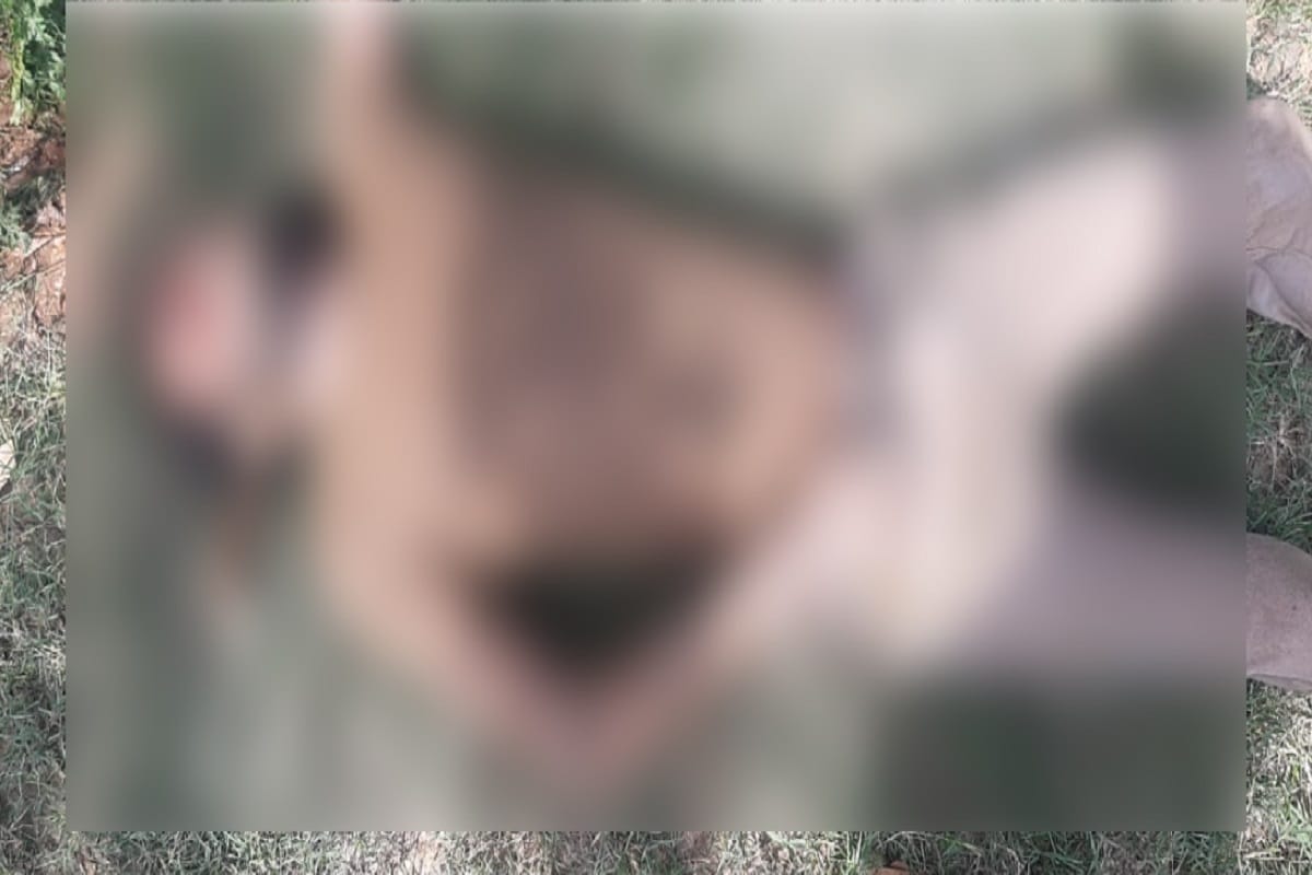 UP News: Lover couple committed suicide in a village of Bijnor and see photos