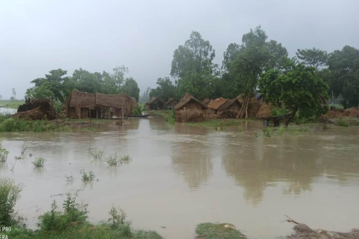 Flood : family living on a island in midst of ganga river refused to come out from flood in Bijnor