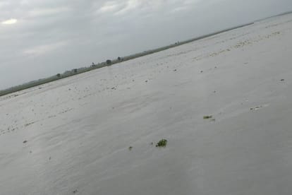Bijnor News: Many villages are in danger due to the rise in the water level of the Ganges and the administration has warned