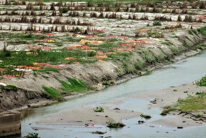 11 bodies buried in the sand were found at Phaphamau Ghat, pyres were decorated till late night,
