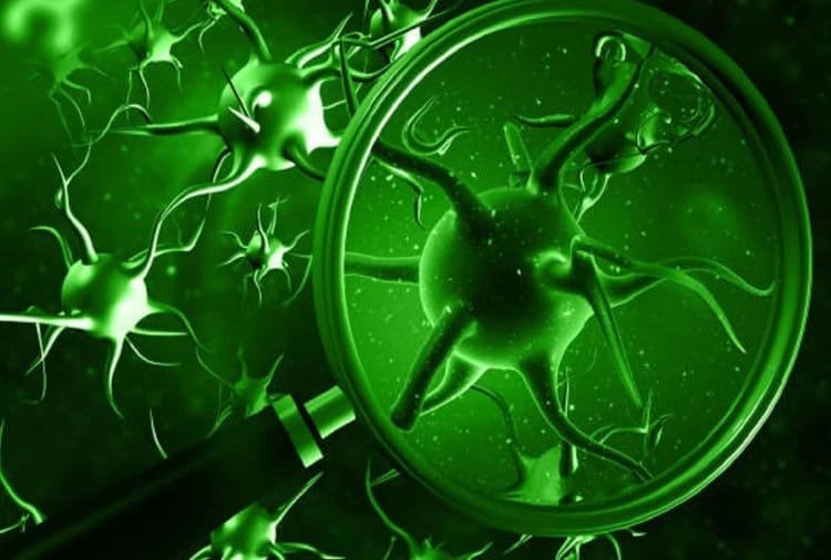 First Case of Green Fungus detected in Jalandhar of Punjab