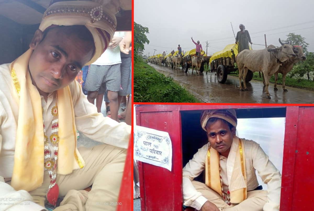Unique marriage story of groom barat in bullock cart reached Laws house for marriage in deoria