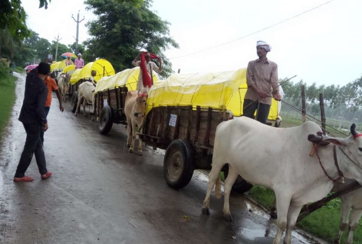 Unique marriage story of groom barat in bullock cart reached Laws house for marriage in deoria