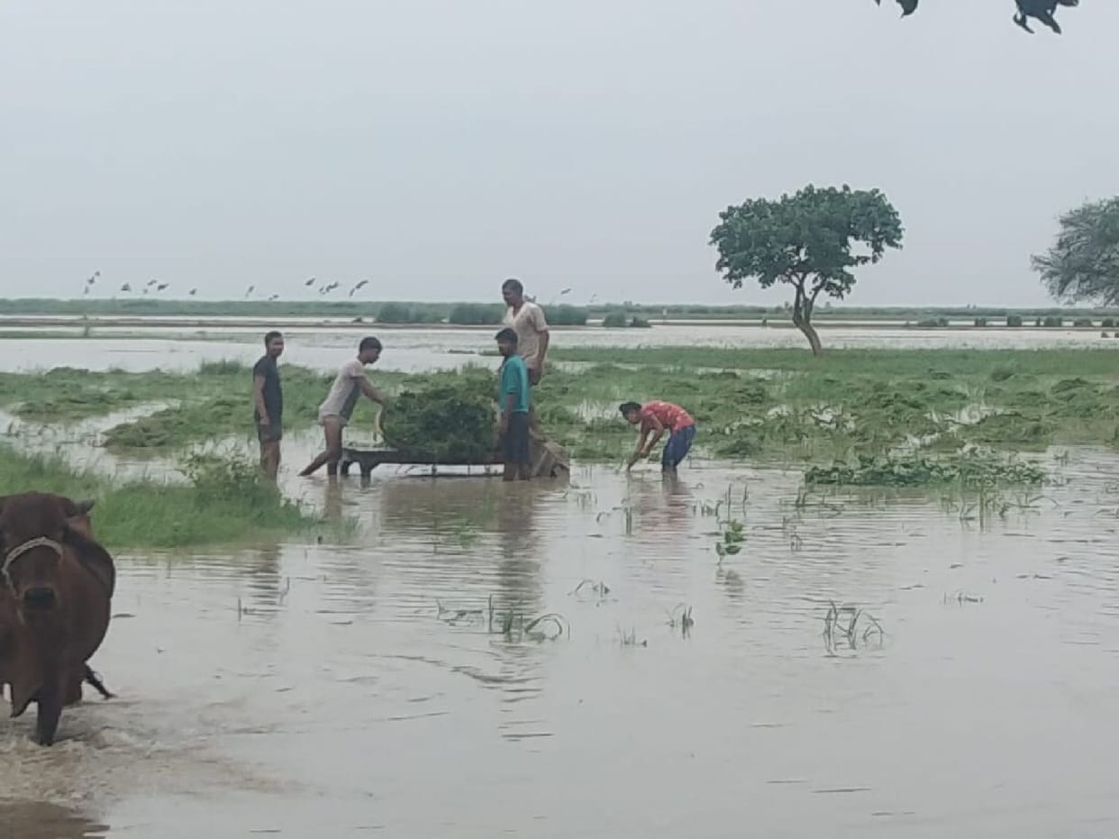 bahraich