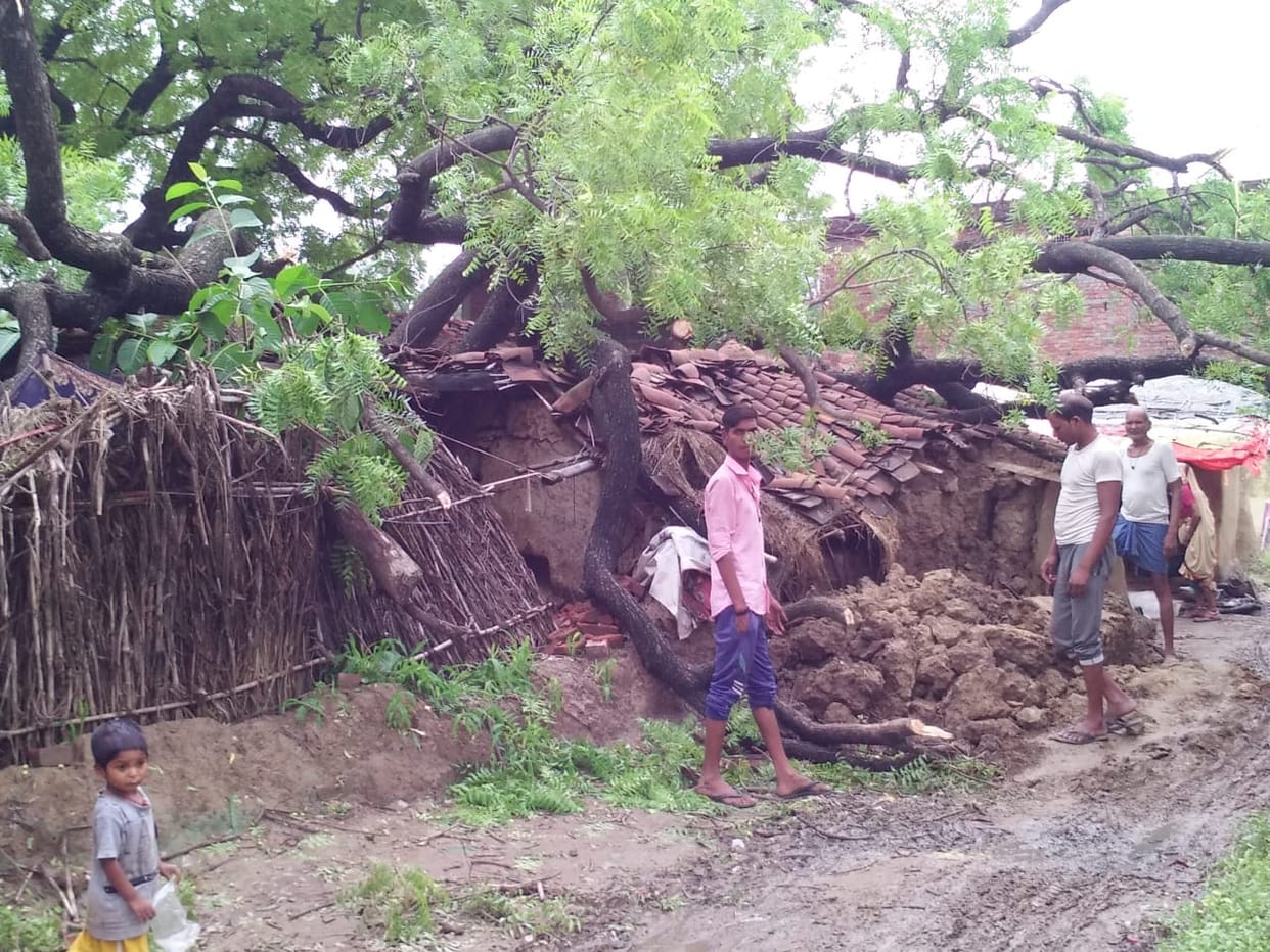 Mirzapur: Tree fell on house, survivors, family members homeless