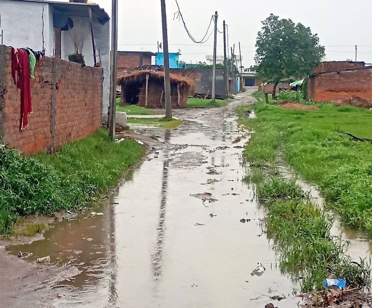 Its raining in Kashipur.