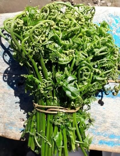 nepaal : shaharon mein kochaya saag kee badhee maang