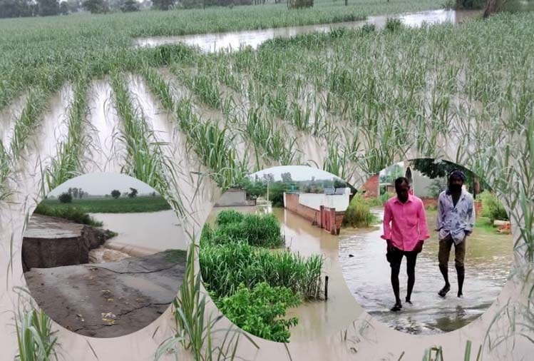 Flood in Bijnor Ganga flowing above danger mark, crops submerged, roads broken