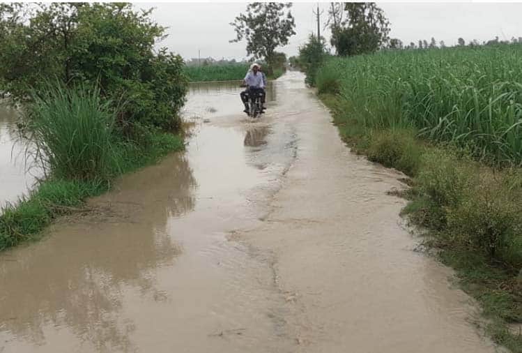 Crops submerged in Hastinapur due to rising water level in Ganga river , water moving towards population