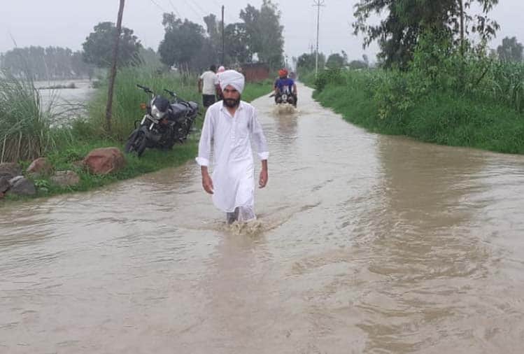 Crops submerged in Hastinapur due to rising water level in Ganga river , water moving towards population