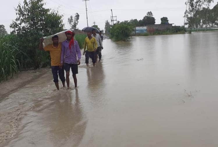 Crops submerged in Hastinapur due to rising water level in Ganga river , water moving towards population