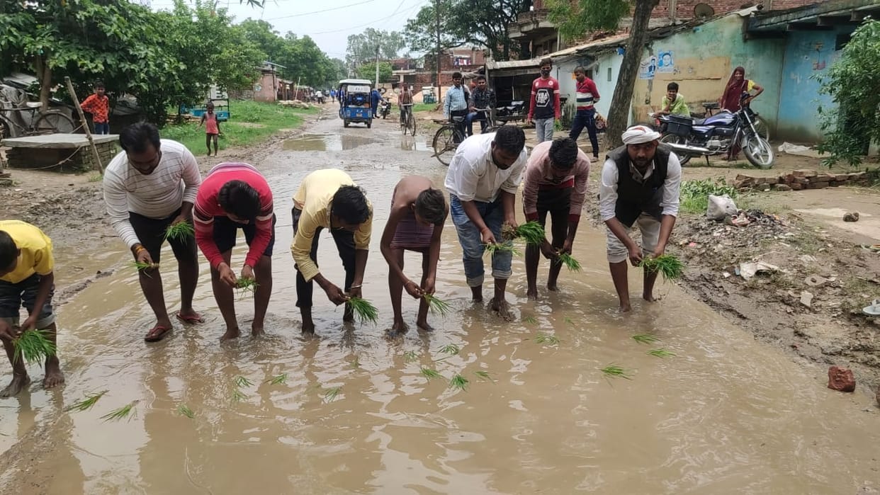 Mirzapur: protested by planting paddy on the road turned into potholes