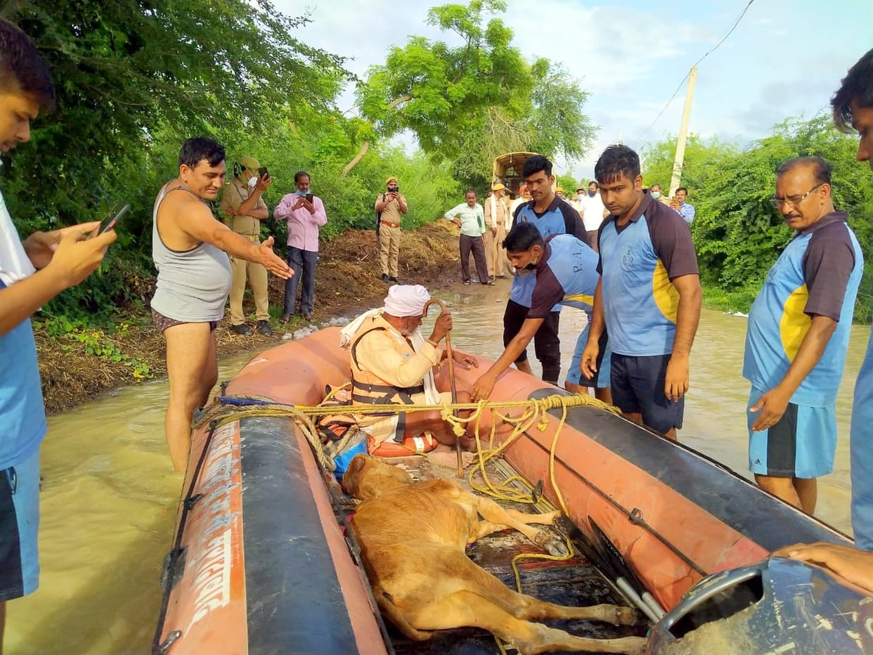 NDRF team rescues 10 people