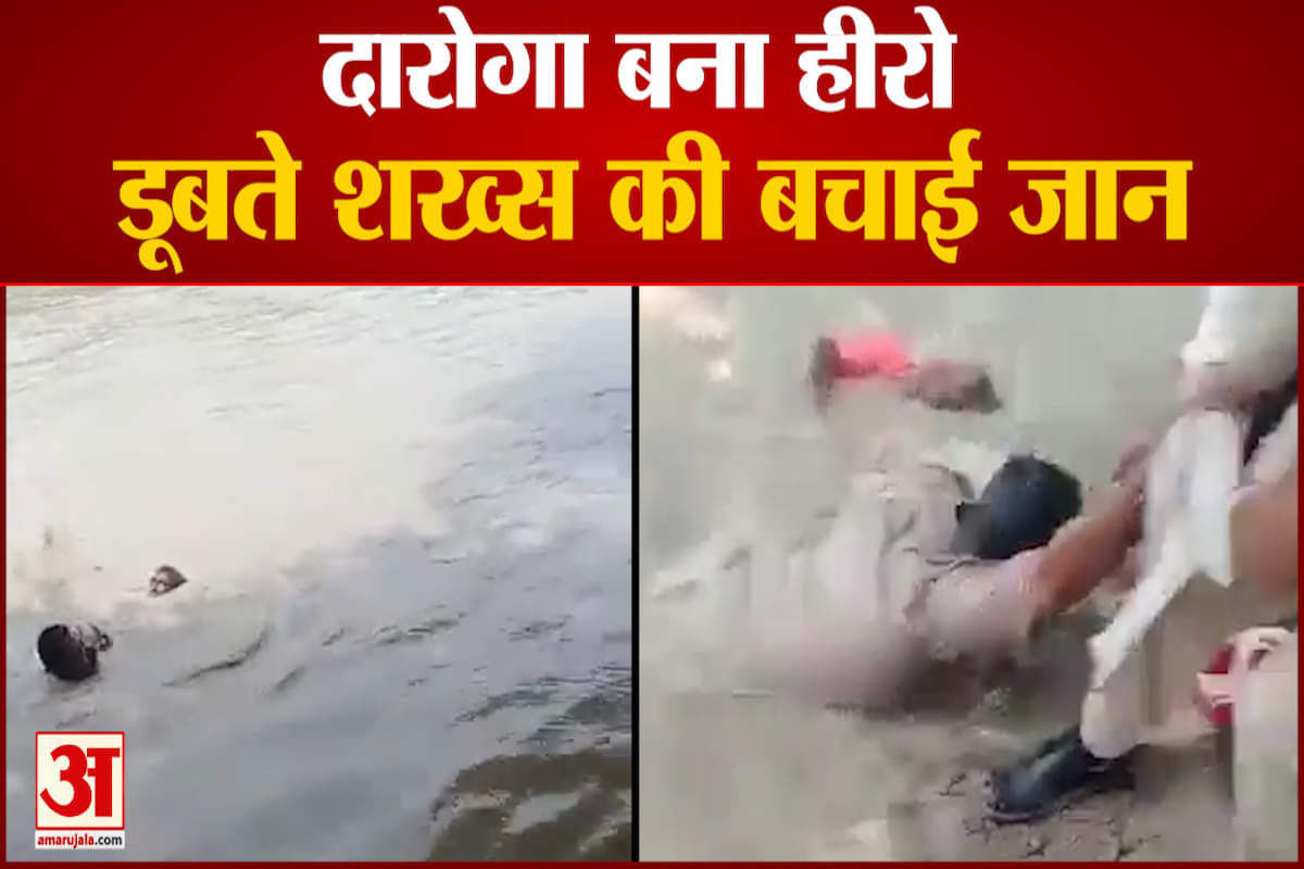 वायरल वीडियो