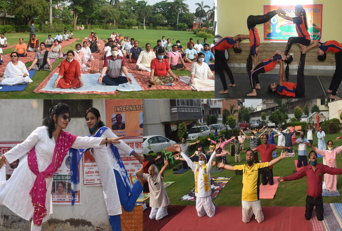 international yoga day 2021 celebrated in kanpur, photos of yoga