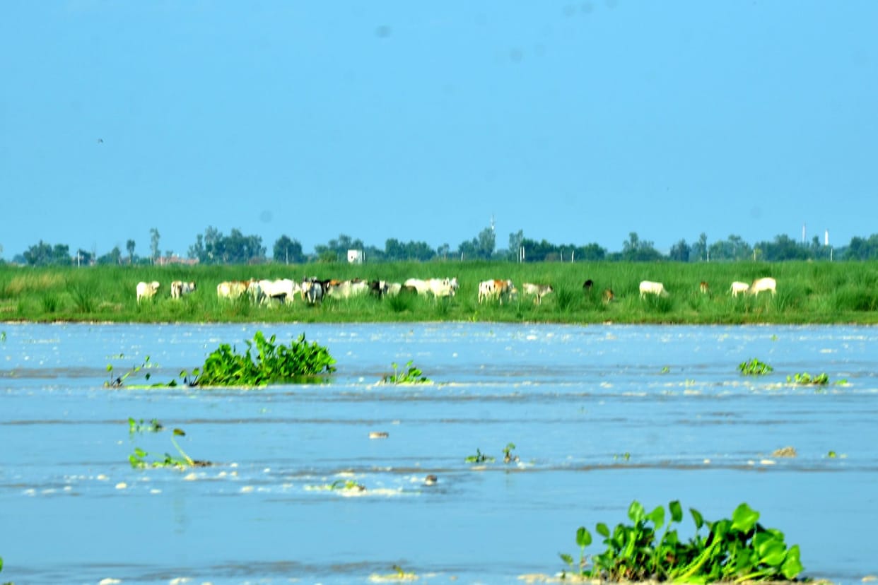 flood