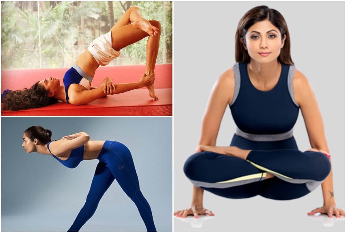 Shilpa Shetty, Malaika Arora, and Bollywood actresses who have achieved toned body with yoga