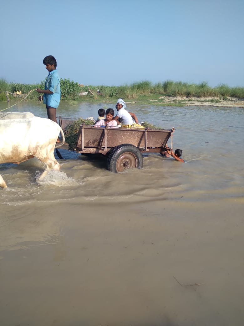 Flood water reached the village on the banks of the Ganges of Chandausi