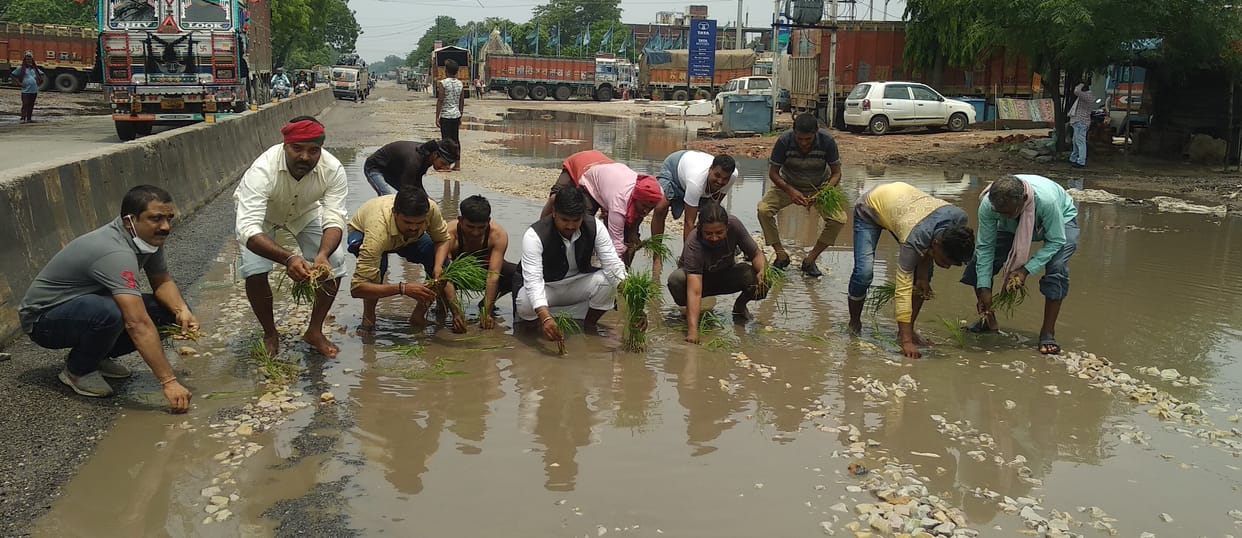 Chandauli: protested by planting paddy on the road, PDDU-Padav road dilapidated