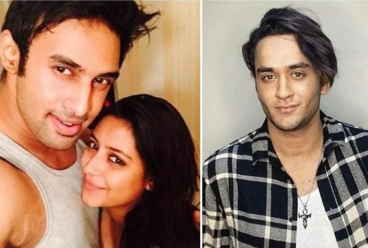 Pratyusha Banerjee Boyfriend Rahul Raj Singh react to Actress death and allegations on vikas gupta