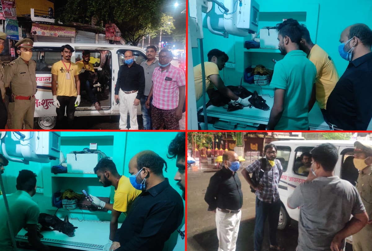 Maharashtra Team came for treatment of injured dog in Kushinagar