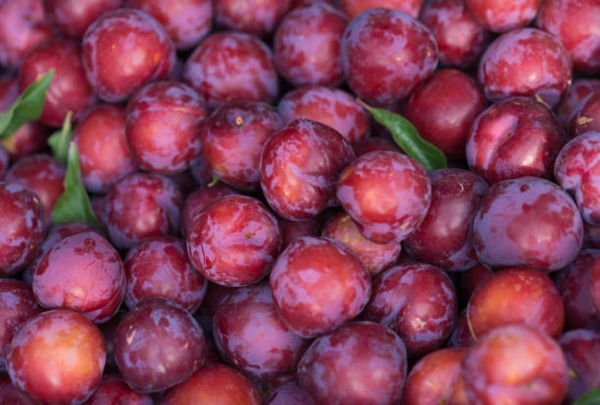 Monsoon fruits benefits best and healthy fruits to eat in rainy season