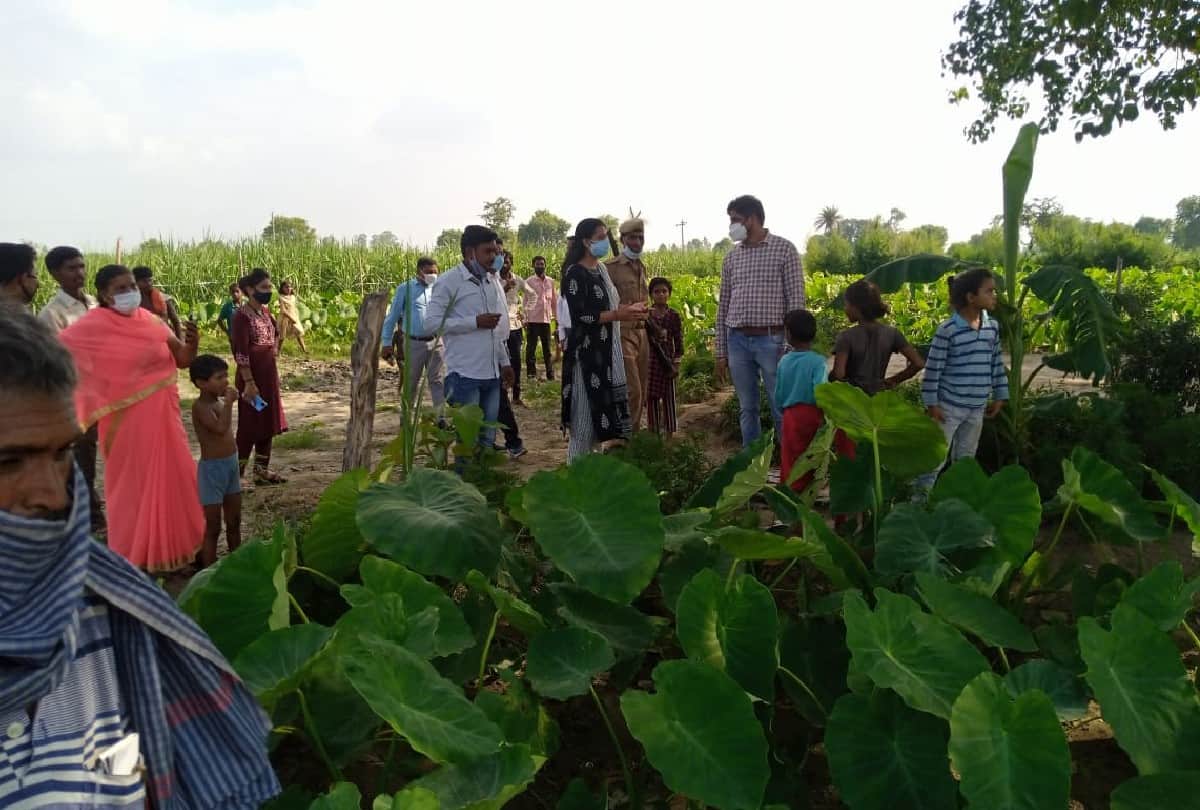 Villagers hide in sugarcane farms for fear of vaccination in kasganj