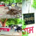 राष्ट्रपति के हाथों फला-फूला पार्क अब तबेला बना