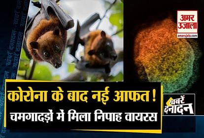 Nipah Virus found in two bat species in  Maharashtra and other 10 big news