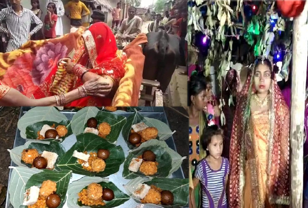unique wedding in banda up, example of environmental protection