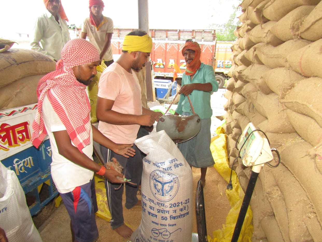 Farmers standing with wheat on trolley, got disappointed
