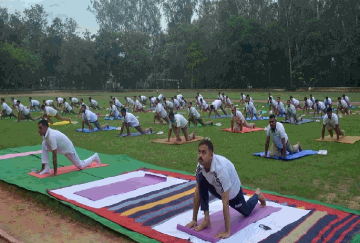 yoga camps and workshops organized at various places in moradabad on the occasion of world yoga day