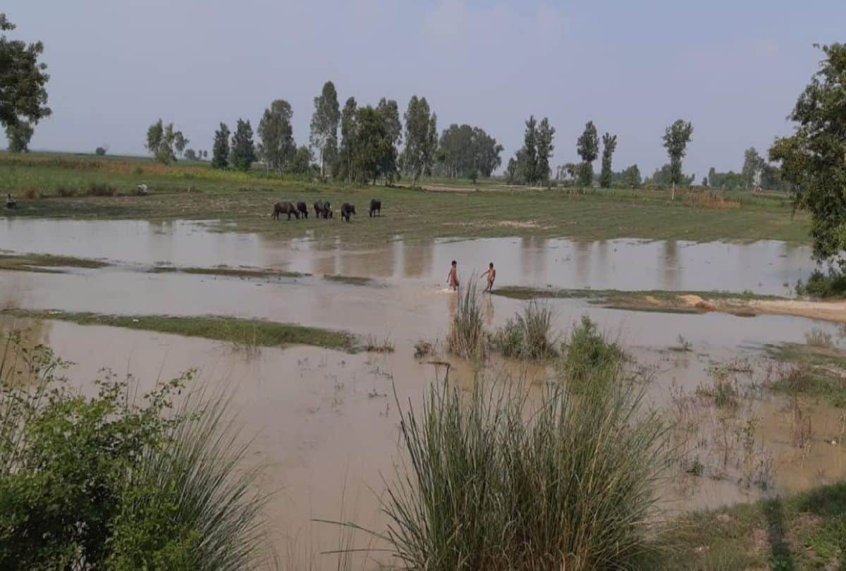 Flood Situation In Kasganj Due To Ganga River Water Level Increasing
