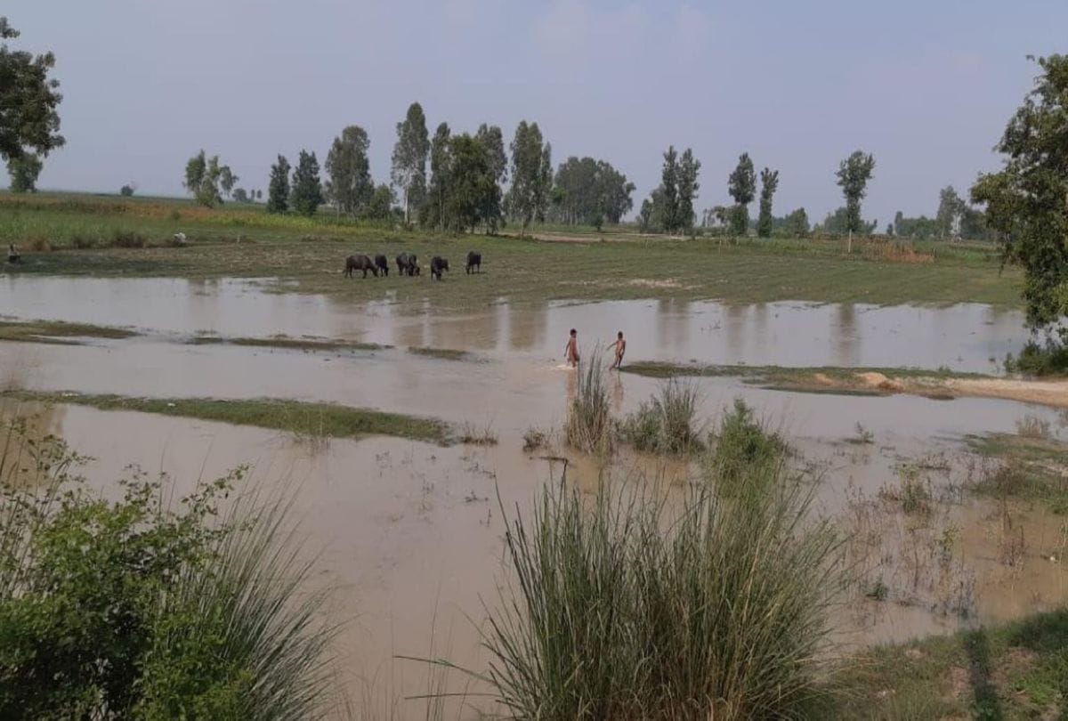 Flood Situation In Kasganj Due To Ganga River Water Level Increasing