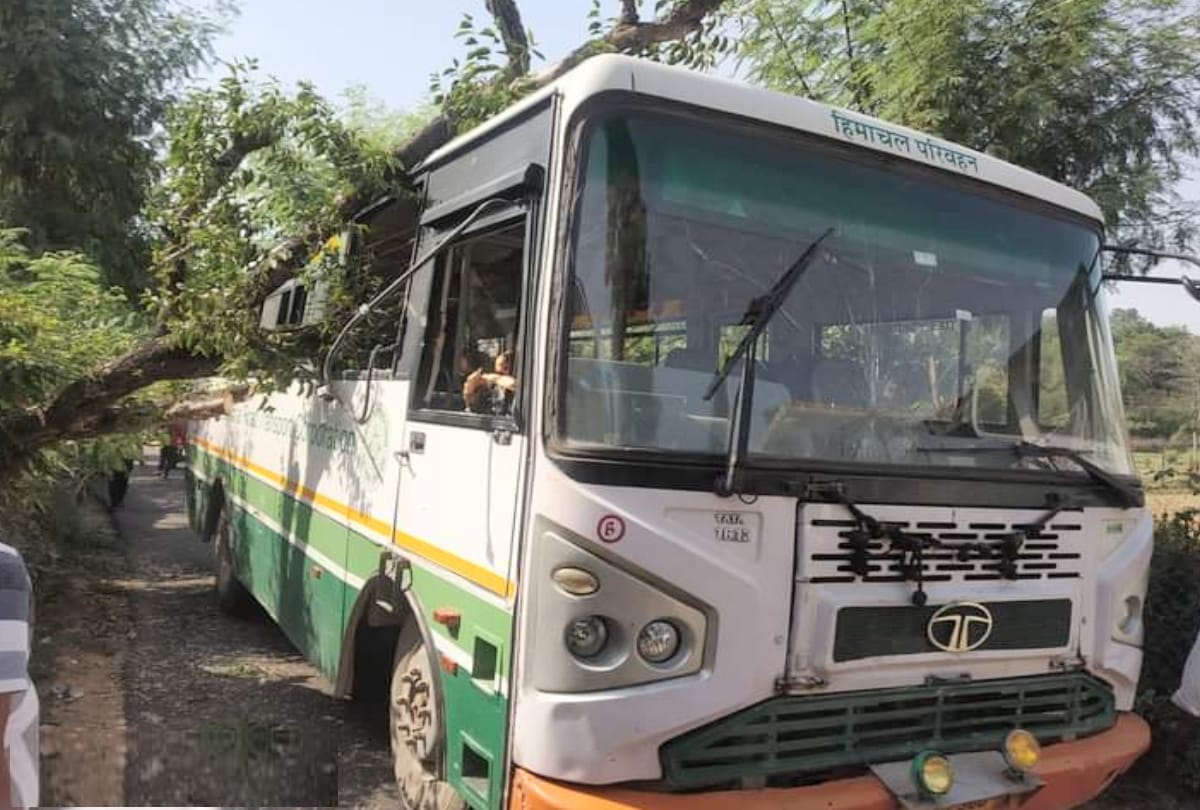 Tree fell on HRTC bus in kangra, woman injured