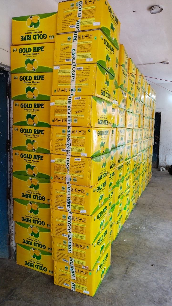 Two arrested with fake chemical for ripening mangoes