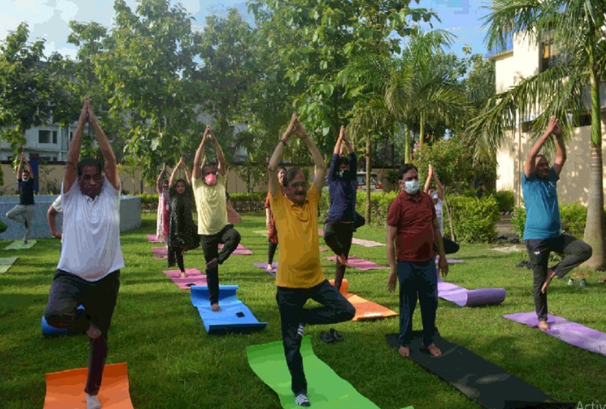 yoga camps and workshops organized at various places in moradabad on the occasion of world yoga day